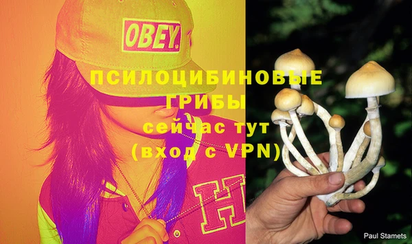 соль курить ск Белокуриха