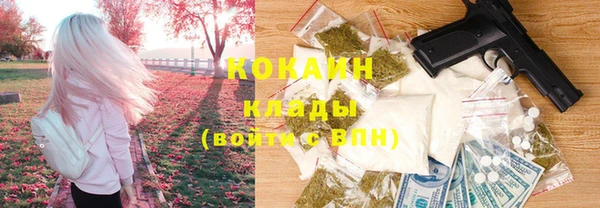 соль курить ск Белокуриха