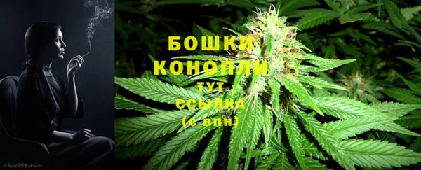 соль курить ск Белокуриха